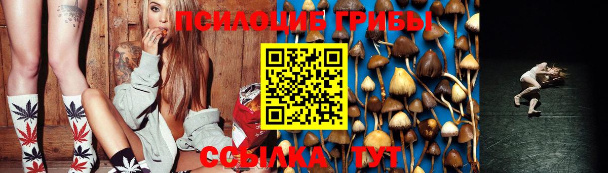 Псилоцибиновые грибы GOLDEN TEACHER  Вход с VPN  Щёлково  Галлюциногенные грибы мицелий 